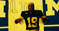 Go Blue Michigan Football GIF by Michigan Athletics