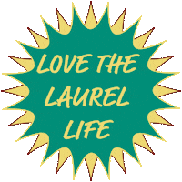 Fun Love Sticker by Laurel Institutes