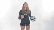 Huntington University Hu Volleyball GIF by FDN Sports