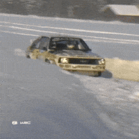 Audi Sport Sweden GIF by FIA World Rally Championship
