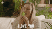 Season 4 Cbc GIF