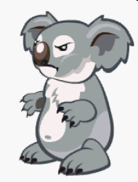 koala GIF