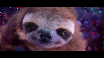 sloth viper fm GIF by EDM Authority