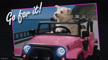 GIPHY PSA Go For It!