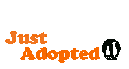 Cat Adopt Sticker by Berkeley Humane