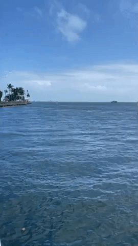 Large Group of Migrants Jumps From Boat Near Key Largo Club in Florida Keys