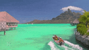 vida caribbean GIF by Xyngular