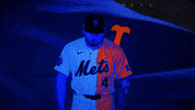 Baseball Mlb GIF by New York Mets