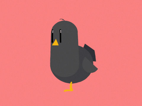 jefftomazella giphyupload GIF