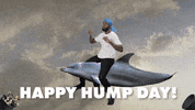 Congrats Congratulations GIF by Sage and lemonade