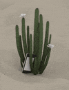 GIF by Sasha Katz