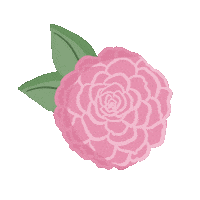 Aloe Vera New Post Sticker by Three Ships Beauty