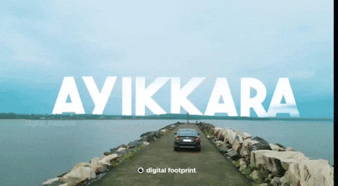 Beach Sea GIF