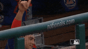 Happy Ny Mets GIF by New York Mets