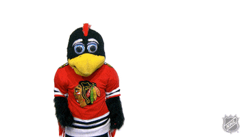 Chicago Blackhawks What GIF by NHL