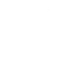 sorry i love you Sticker by Vacation Forever