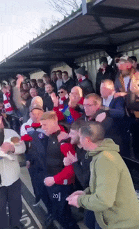 Fans Singing GIF by Dorking Wanderers Football Club