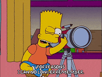 bart simpson GIF