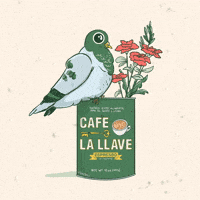 GIF by Cafe La Llave