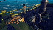 Cat GIF by Sea of Thieves