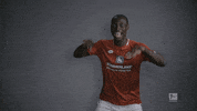 german football GIF by Bundesliga