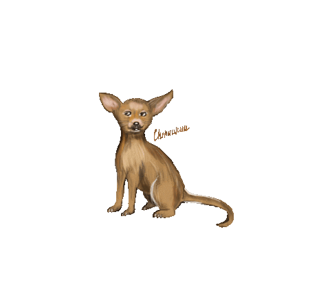 Veronasketch Sticker