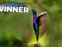 Germany Wow GIF by FranchiseONE.de