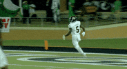 utsa roadrunners football GIF by UTSA Athletics