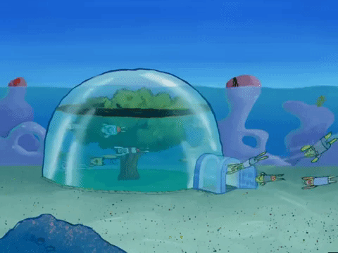 season 5 episode 10 GIF by SpongeBob SquarePants