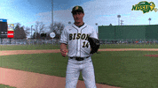 Nelson GIF by NDSU Athletics