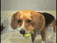 threesome GIF