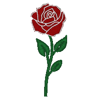 Rose Jasmine Sticker