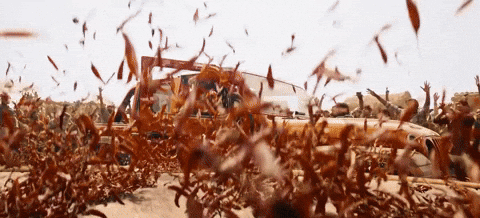 Step Out Mahesh Babu GIF