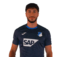 Sport Bundesliga Sticker by TSG Hoffenheim