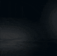 homecourtrealestate realestate queens brooklyn ballislife GIF