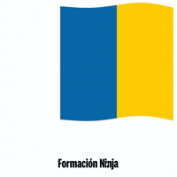 Islas Canarias Flag GIF by Formación Ninja