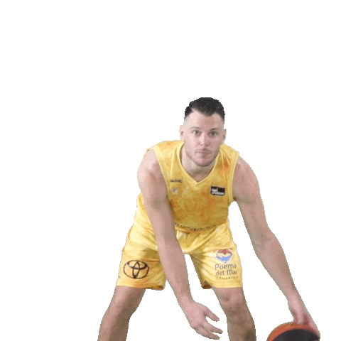 Liga Endesa Basketball Sticker by ACB