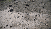 childhood's end bones GIF by SYFY