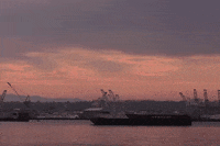 washington seattle GIF