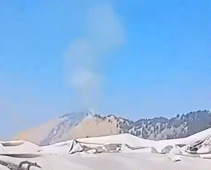 yj_jane giphyupload GIF