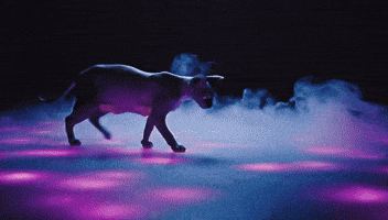 Trick Or Treat Happy Halloween GIF by Ashwin Gane