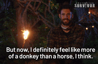 Horse Donkey GIF by Australian Survivor