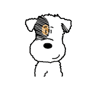 Good Morning Hello Sticker
