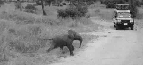 black and white baby GIF