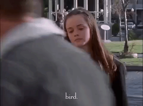 season 1 netflix GIF by Gilmore Girls 