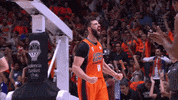 come on yes GIF by ACB