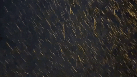 Snow Freezing GIF by This Bushwick Life