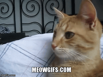 bad GIF