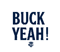 Major League Baseball Sport Sticker by Minnesota Twins