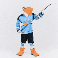 Dance Lol GIF by Pelicans Lahti